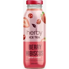 Defne Store Ice Tea Berry Hibiscus Soğuk Çay Şeker Ilavesiz 250 ml x 24