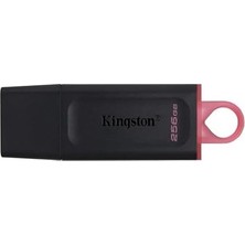 256GB USB Bellek Usb3.2 Gen1 DTX/256 GB