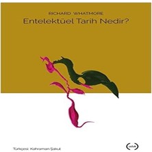 Entelektüel Tarih Nedir?
