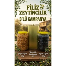 Filiz Zeytincilik 3 Lü Yeşil Zeytin 2 kg & Siyah Zeytin 2 kg ve Yemeklik Yağımız 5 Lt