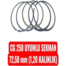 Cg 250 Uyumlu Sekman 72,50 mm 1,20 Kalınlık Erpilsan Elektronik