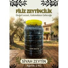 Filiz Zeytincilik Siyah Zeytin 2 kg Kazdağlarından Gelen Lezzet