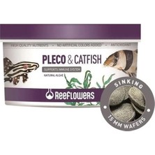 Defne Store Pleco Catfish Wafers 15 mm 250 ml
