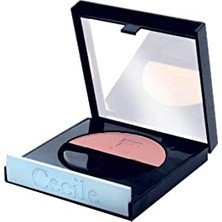 Defne Store Doğal Allık Natural Blush-On 02 1 Paket (1 x 1 Adet)