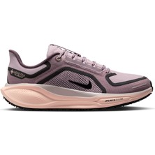 Nike Pegasus 41 Gore-Tex  Koşu Ayakkabısı (Su GEÇİRMEZ)FQ1357-004