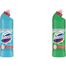 Bg Yoğun Kıvamlı Çamaşır Suyu Okaliptüs Ferahlığı 750 ml ve Domestos Yoğun Kıvamlı Çamaşır Suyu Dağ Esintisi 750 ml