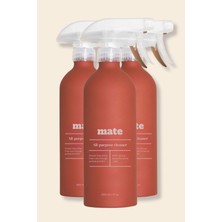 Bg Çok Amaçlı Leke Çıkarıcı & Yağ Çözücü Sprey 3X500 ml
