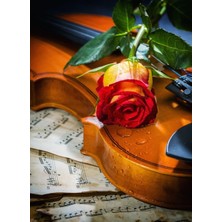 Bg Müzik, Aşk ve Hüzün 1000 Parça Puzzle
