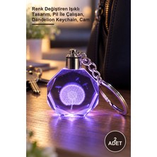 Yenilig 2 Adet Karahindiba Temalı Işıklı Kristal Anahtarlık – Renk Değiştiren Işıklı Tasarım, Pil Ile Çalışan, Dandelion Keychain, Cam