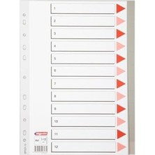Defne Store Pp Seperatör 1-12 Rakamlı
