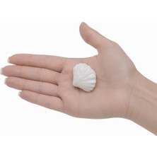 Defne Store Beyaz Çekmece Dolap Kulpu Kulbu Tek Vidalı Deniz Kabuğu Tasarım Renk Porselen Düğme Kulp Mobilya