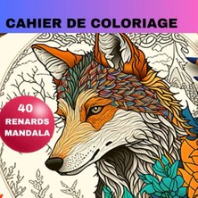 Defne Store Cahier Coloriage Superbes Illustrations Renard Colorier Rapie Adulte, 40 Art Th Id Enfant Cadeau Noel Anniversaire Petit Nature Avec Notre Carnet