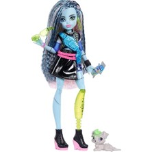 Defne Store Acayip Havalı Arkadaşlar - Frankie Stein, Frankenmonster Kazak ve Siyah Etek, Evcil Hayvan Watzie ve 7 Aksesuar: Kulaklık, Bel Bandı, Atıştırmalıklar, JHK31