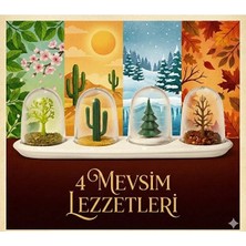 Store 4 Mevsim Temalı Tasarım Baharatlık Seti - Dekoratif Ağaç ve Kaktüs Figürlü Standlı Tuzluk Biberlik
