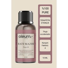 Oleum Lab Batı Mazısı Uçucu Yağı 10 ml %100 Pure & Terapötik Etkili & Doğal