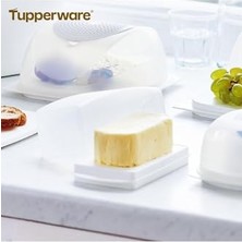 Defne Store Kar Beyazı Tereyağlık