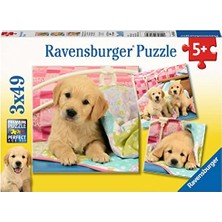 Defne Store 3X49 Parça Puppies Renkli Yapboz 3+