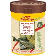 Defne Store Wels-Chips 38 G 100 ml