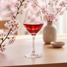 Store Ella 6'lı Goblet