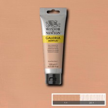 Store Galeria Akrilik Boya, 120ML, Pale Terracotta 437