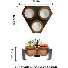Store Metal Stantlı 3’lü Skulent Saksısı – Siyah Metal Stant ve Meşe Saksılar, Modern Tasarım, Dekoratif Çiçek Saksılığı, Skulent ve Kaktüs Için Şık Saksı, Ev ve Ofis Dekoru