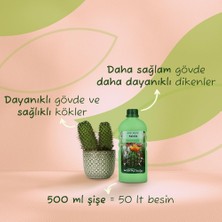 Store Prestige Kaktüsler Için Sıvı Bitki Besini Gübre 500 ml