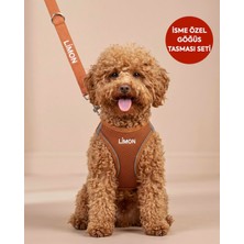 Defne Store Isimli Köpek Göğüs Tasması Airmesh Isme Özel Göğüs Tasması ve Gezdirme Kayışı Seti I Küçük ve Orta Irk Köpekler I Renk Seçenekli (Kahverengi, L)