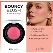 Defne Store Bouncy Blush 01 Paradise, Yumuşak Kremsi Allık
