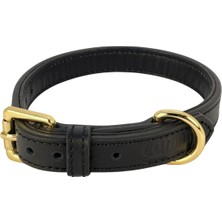 Defne Store %100 Hakiki Deri; Altın Tokalı Hakiki Deriden Köpek Tasması, Yumuşak Iç Katman, Dayanıklı ve Tasarım, Ultra Dayanıklı ve Konforlu Deri Tasma, Küçük ve Orta Boy Köpekler Için (Siyah, M)