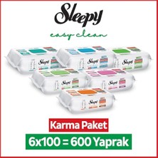 Defne Store Yüzey Temizlik Havlusu ve Mendili, Doğa + Meyve Serisi, 6X100 Karma Paket