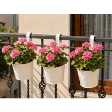 Store Askılı Balkon Saksı Seti, 3 Adet, Metal, Beyaz, 1,5lt