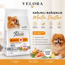 Velora Grup Felicia Preventive Care Somonlu Yetişkin Küçük Irk Köpek Maması 3 kg - , Düşük Tahıllı