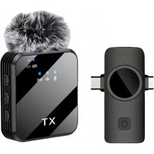 Skygo ZR1028 F13 İki Girişli Tekli Mikrofon