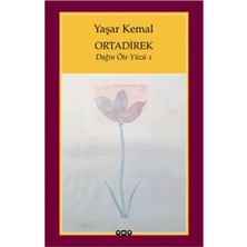 MRAYss Ortadirek - Dağın Öte Yüzü 1