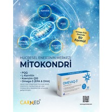 Carmed Omevaq-3 Balık Yağı, Pqq, L-Karnitin, Koenzim Q10 Içeren Takviye Edici Gıda