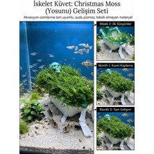 Akvaryum Canlılarına Tam Uyumlu Petg Iskelet Küvet Dekoratif Akvaryum Süsü Christmas Moss / Noel Yosunu Uyumlu