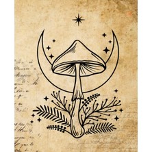 Zemira Tarot Journal: Three Card Draw Mushrooms