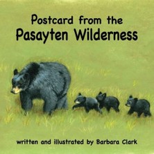 Zemira Postcard From The Pasayten Wilderness