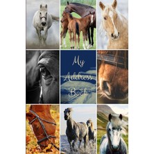 Zemira My Address Book: Horse Cover | Address Book For Names, Addresses, Numbers, E-Mails And Birthd
