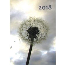 Zemira Großer Tagebuch Kalender 2018 - Pusteblume: Din A4 - 1 Tag Pro Seite