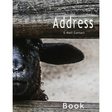 Zemira Address Book: E-Mail Contact Book Large Print Books Organizer Big Number Journal Con