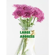 Zemira Large Address: Big Print Extra Large Birthdays & Address Book For Contacts, With Addresses, N
