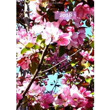 Zemira Dicker Tagebuch Kalender 2018 - Kirschblüte: 365 Tage = 365 A4-Seiten
