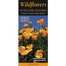 Zemira Wildflowers Of Southern California: A Guide To Common Native Species (Quick Reference Guides)