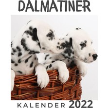 Zemira Dalmatiner: Kalender 2022