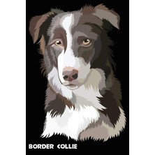 Zemira Border Collie Notebook: Blank Lined Journal, Softcover (6x9 Inches) With 120 Pages