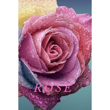 Zemira Rose: Flower Journal (110 Pages, 6'' x 9'')