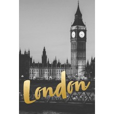 Zemira London: Journal, Notebook, Diary, 6"x9" Lined Pages, 150 Pages