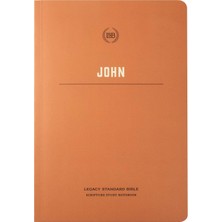 Zemira Lsb Scripture Study Notebook: John