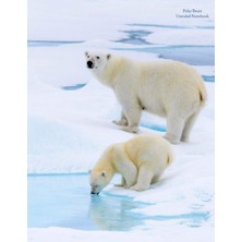Zemira Bears Unruled Notebook: Unruled, Blank Notebook. No Lines. No Page Numbers. Glossy Cover With